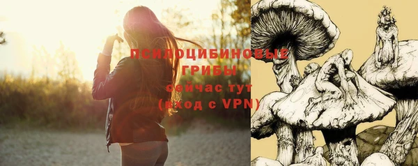 ГАЛЛЮЦИНОГЕННЫЕ ГРИБЫ Михайловск